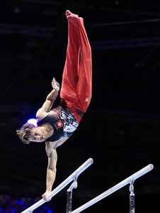 Ian Raubal