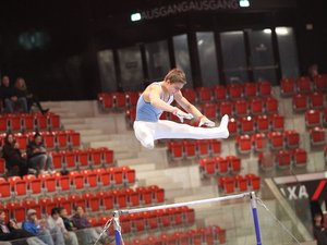 Nico Iselin