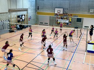 Volley Damen NSW